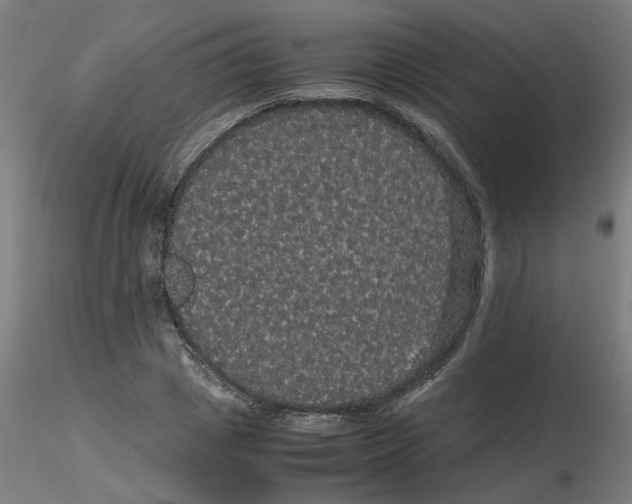 X0000116120833200912211652