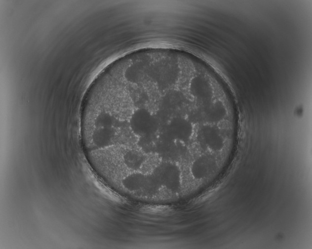 X0000116120837200912211652