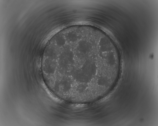 X0000116120841200912211652