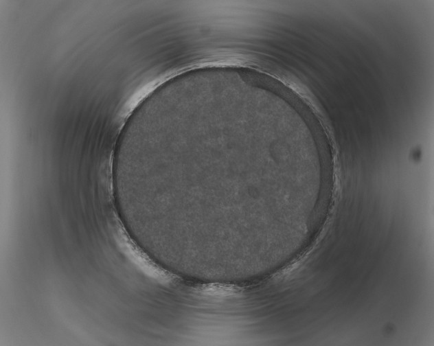 X0000116120842200912211652