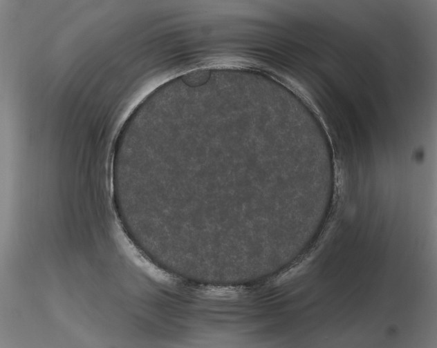 X0000116120843200912211652