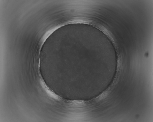 X0000116120844200912211652