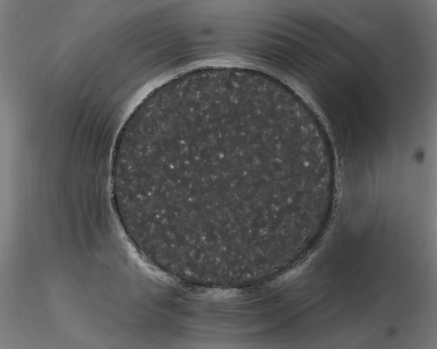X0000116120845200912211652