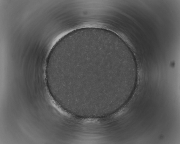 X0000116120846200912211652