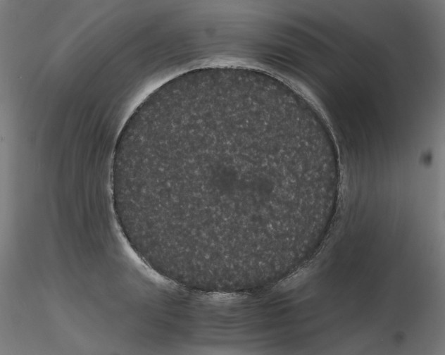X0000116120847200912211652