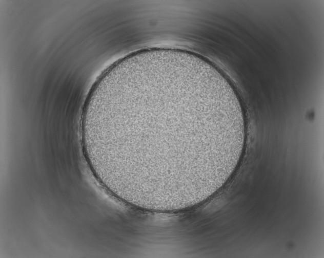 X0000116120848200912211652