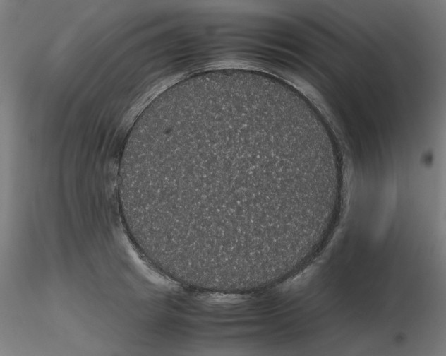 X0000116120849200912211652