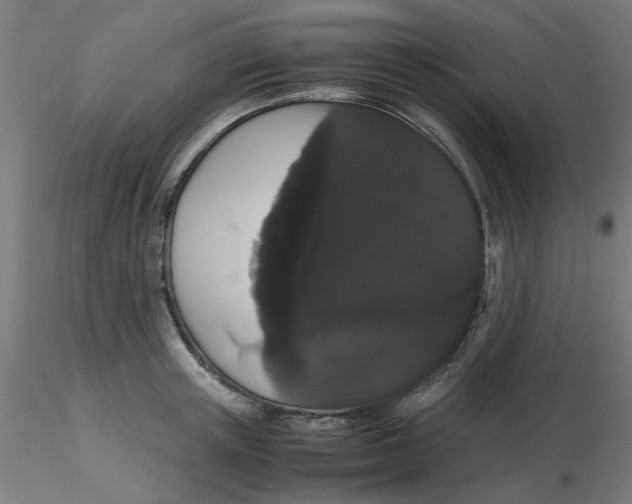 X0000116120851200912211652