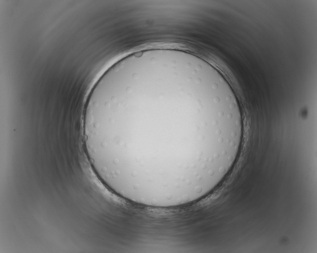 X0000116120852200912211652