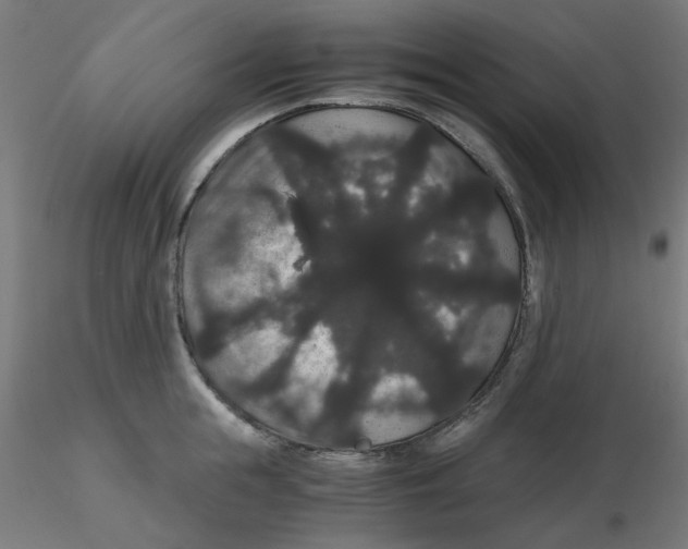 X0000116120855200912211652