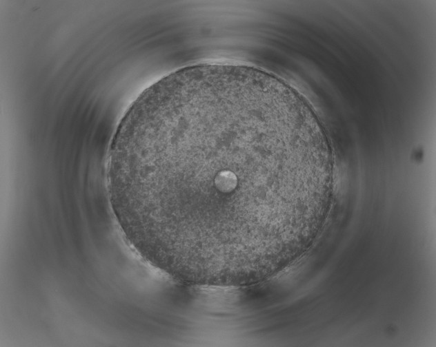 X0000116120856200912211652