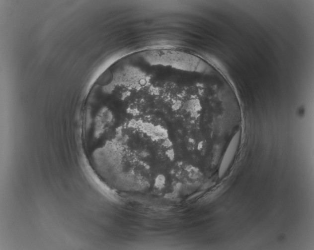 X0000116120859200912211652