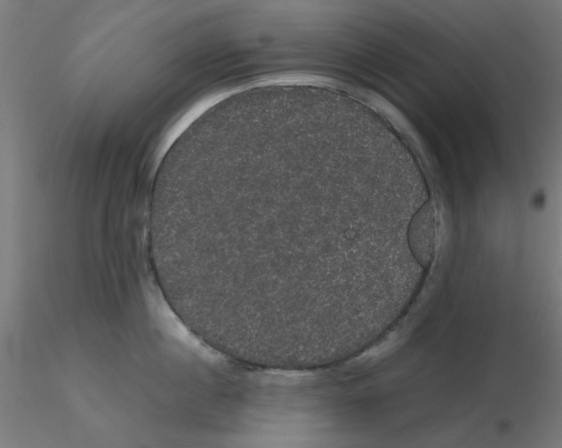 X0000116120860200912211652
