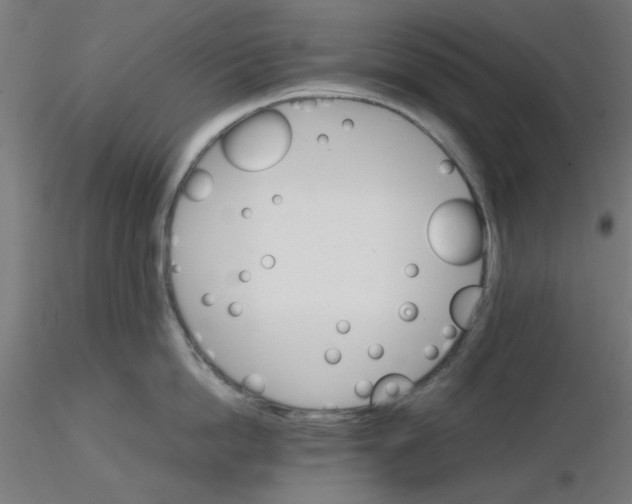 X0000116120862200912211652