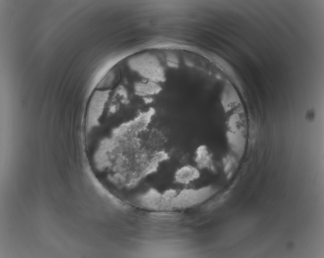 X0000116120863200912211652