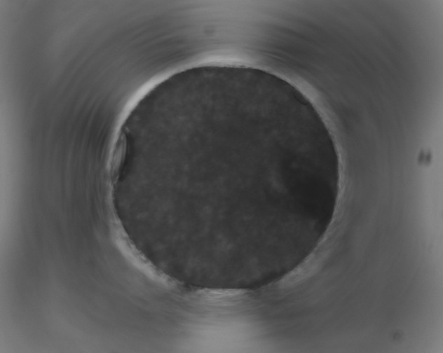 X0000116120864200912211652