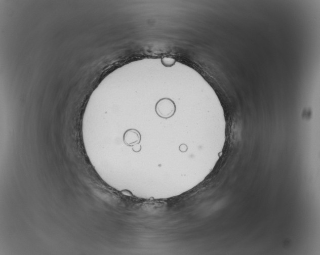 X0000116120865200912211652