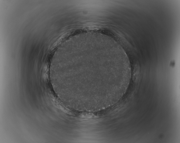 X0000116120866200912211652