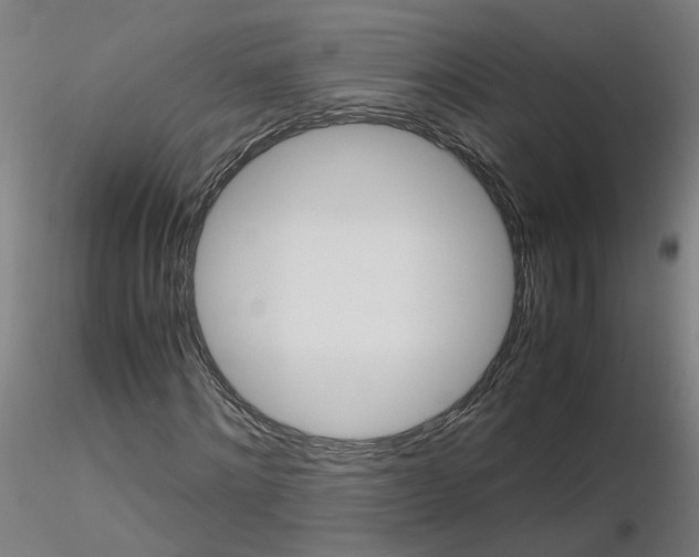X0000116120868200912211652