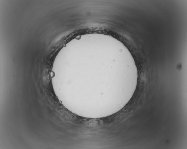 X0000116120869200912211652