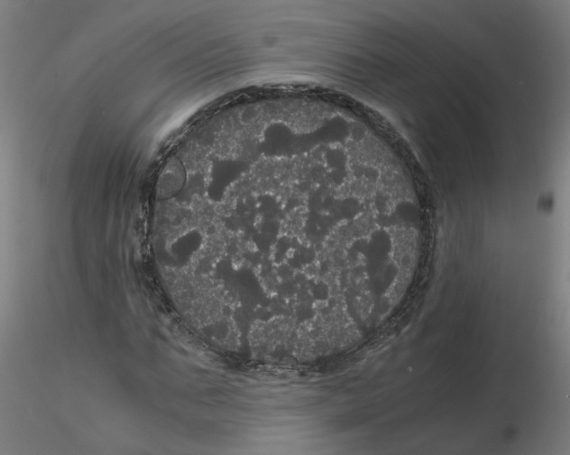 X0000116120871200912211652