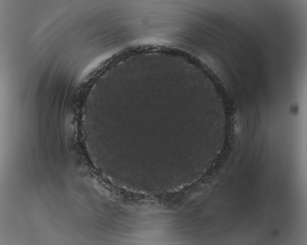 X0000116120872200912211652