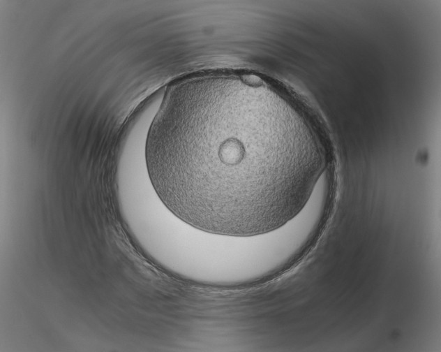 X0000116120873200912211652