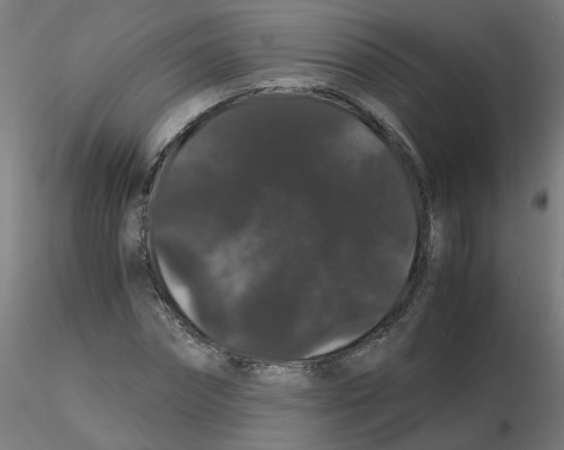 X0000116120874200912211652