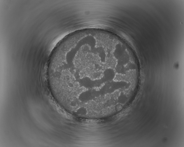 X0000116120875200912211652