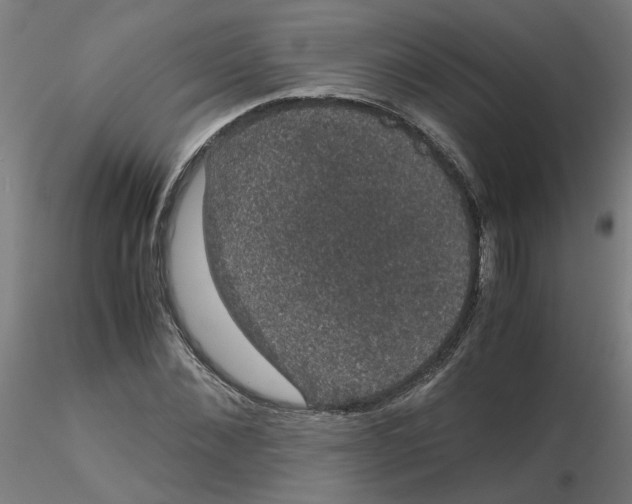 X0000116120876200912211652