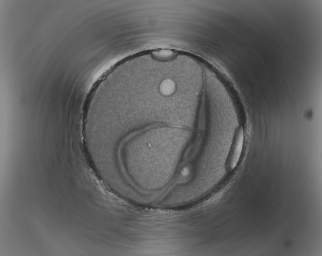 X0000116120877200912211652