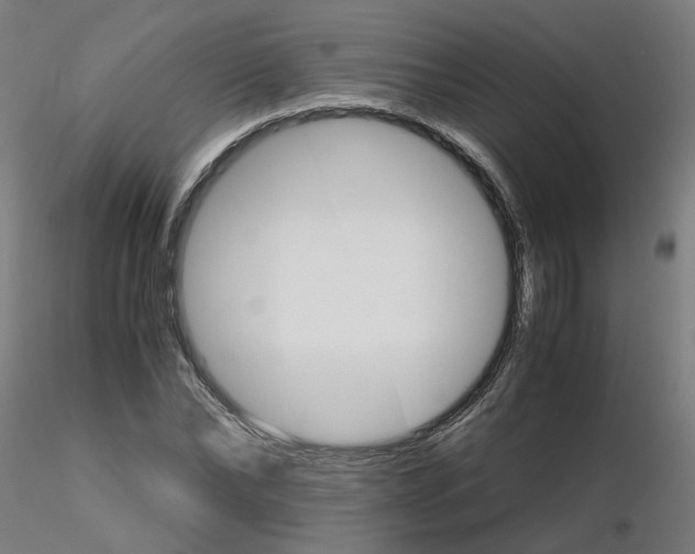 X0000116120878200912211652