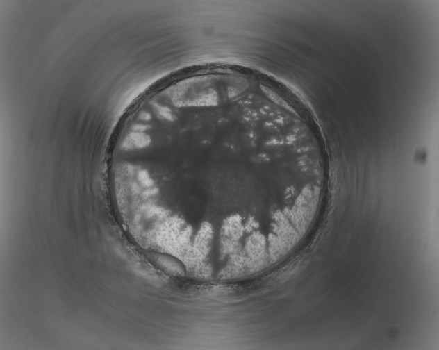X0000116120879200912211652