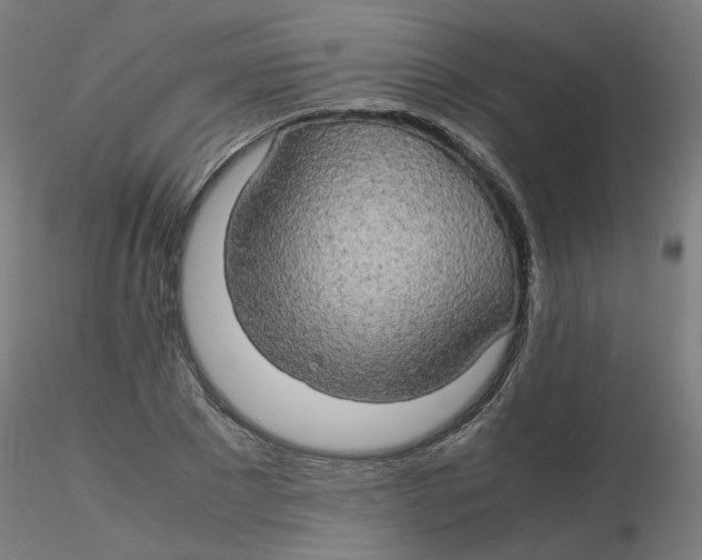 X0000116120881200912211652