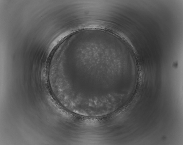 X0000116120882200912211651