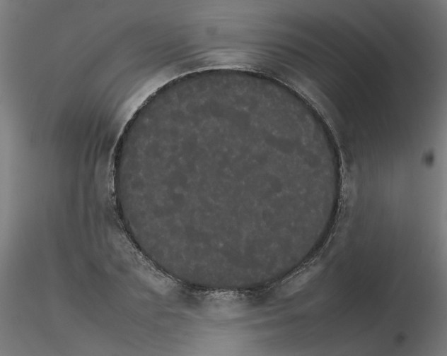 X0000116120883200912211651