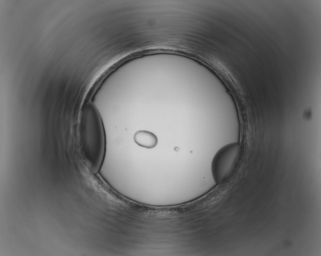 X0000116120884200912211651