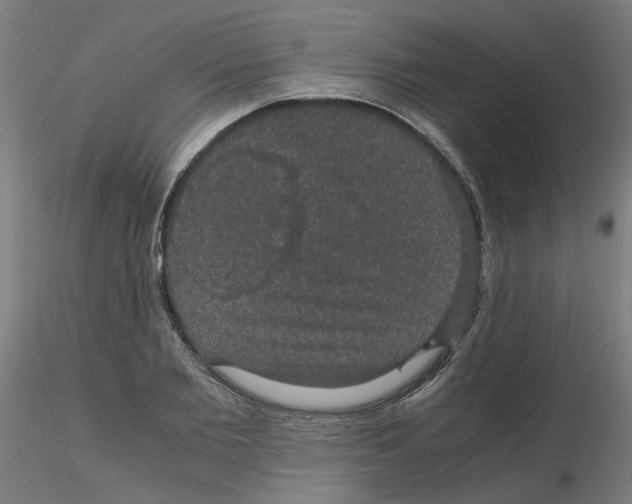 X0000116120885200912211651