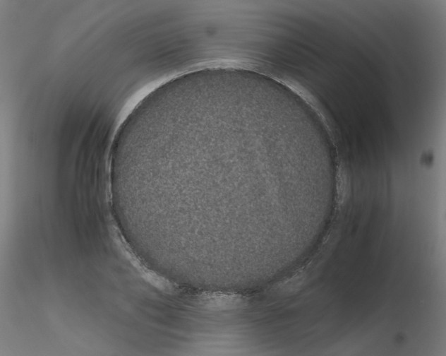 X0000116120886200912211651