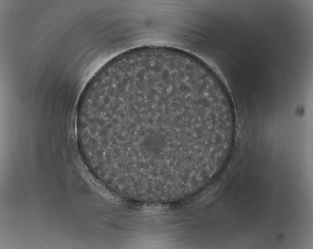 X0000116120887200912211651