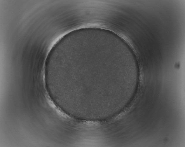 X0000116120888200912211651