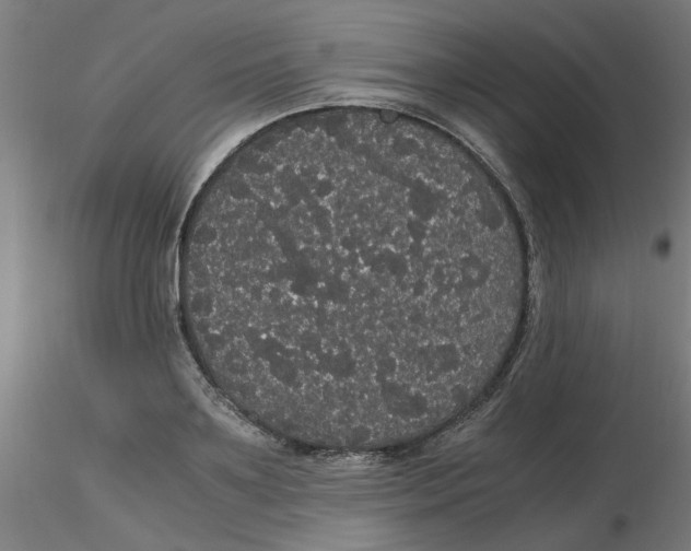 X0000116120891200912211651