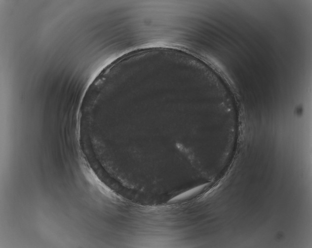 X0000116120892200912211651