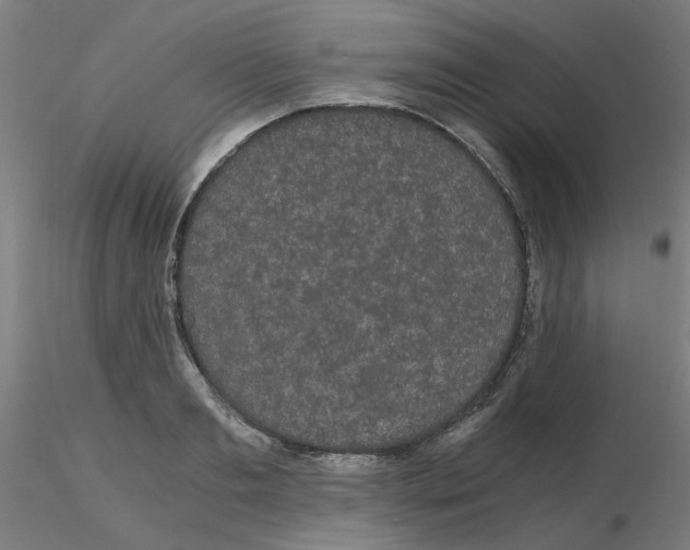 X0000116120893200912211651