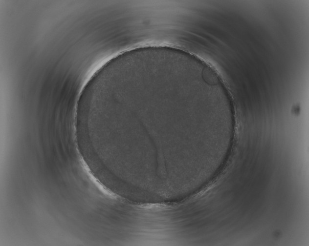 X0000116120894200912211651