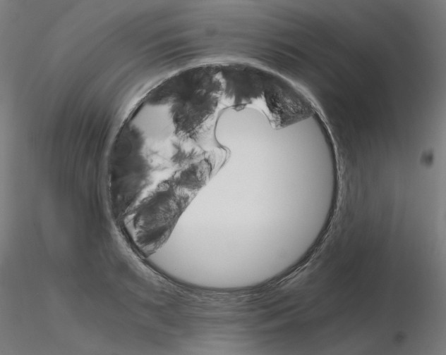 X0000116120895200912211651