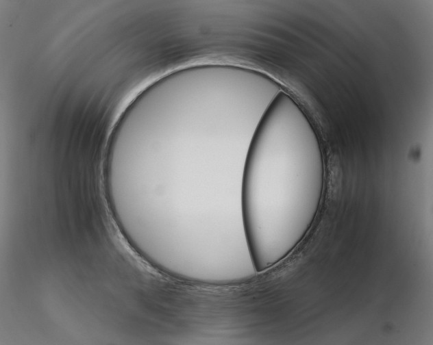 X0000116120896200912211651