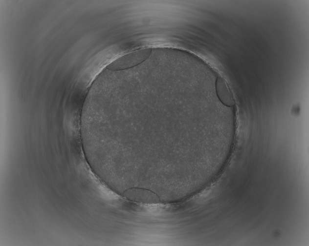X0000116120897200912211651