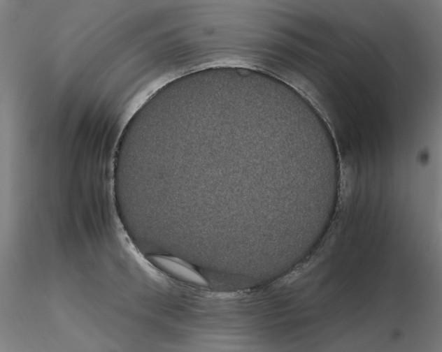 X0000116120898200912211651