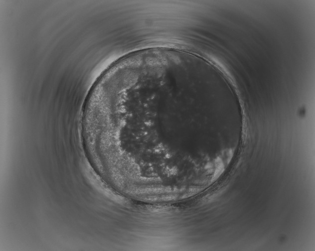 X0000116120899200912211651